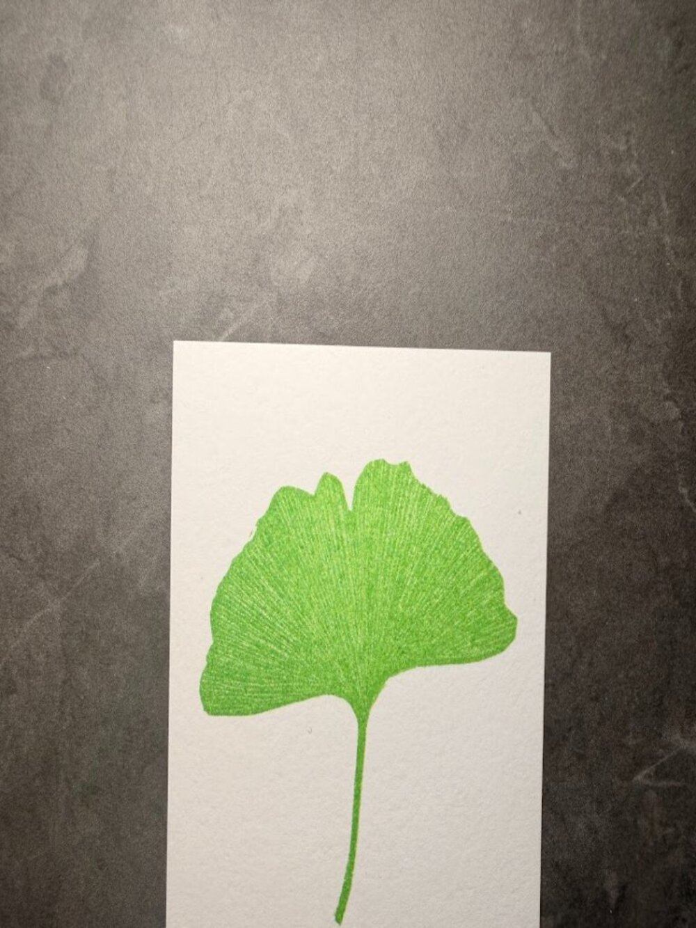 Ana Inciardi Ginkgo Leaf Mini Art Print